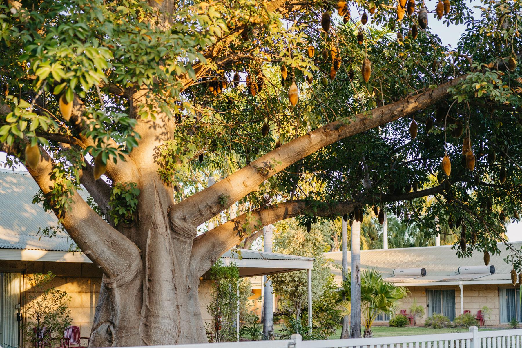 The Kimberley Grande Resort Kununurra Bagian luar foto