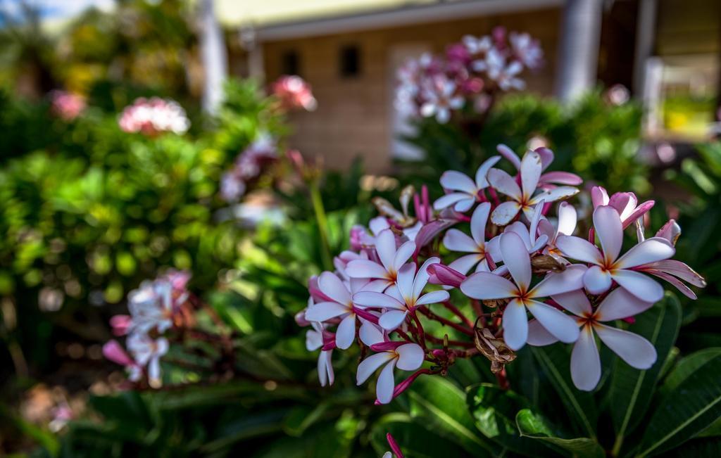 The Kimberley Grande Resort Kununurra Bagian luar foto