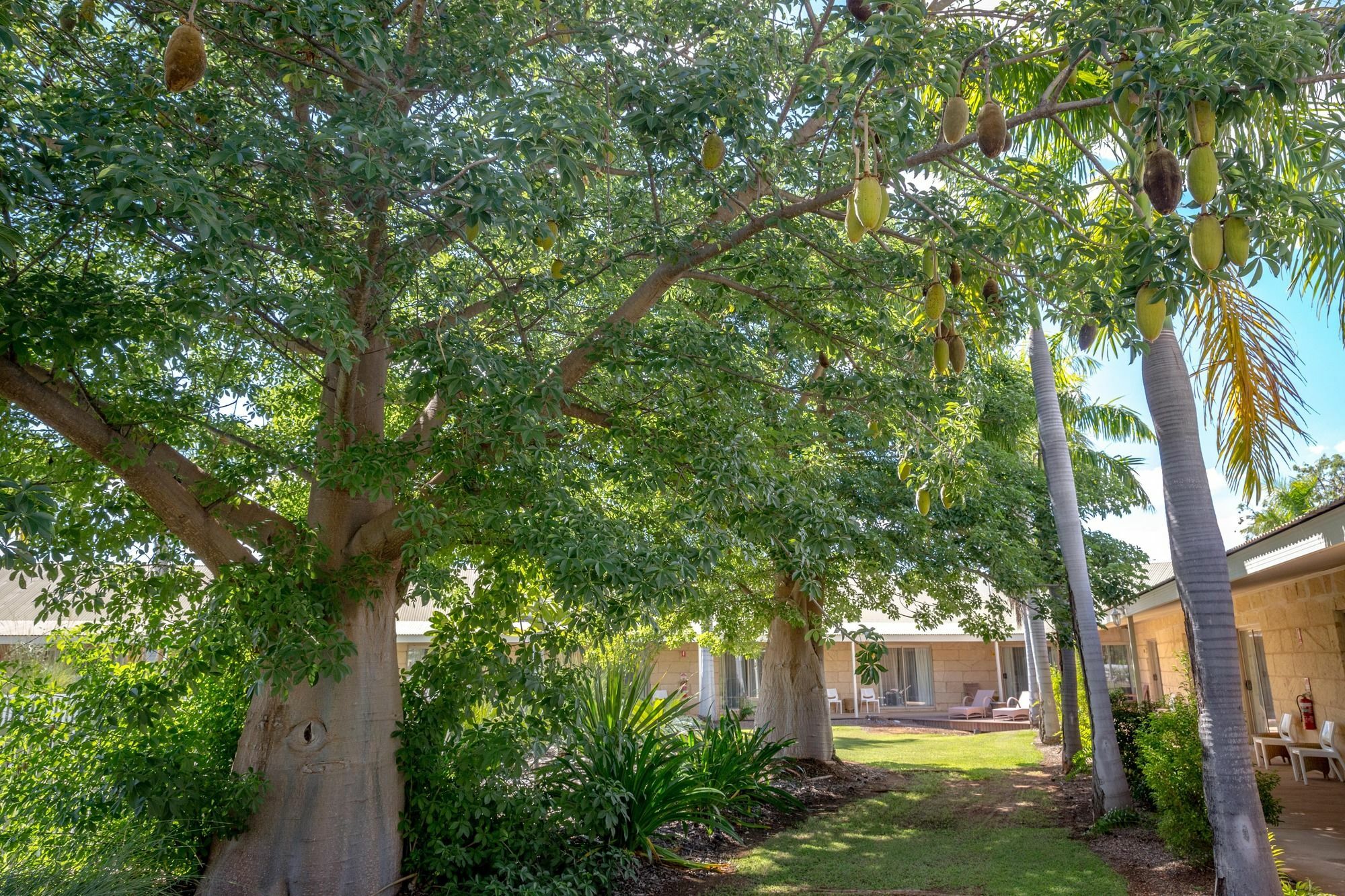 The Kimberley Grande Resort Kununurra Bagian luar foto