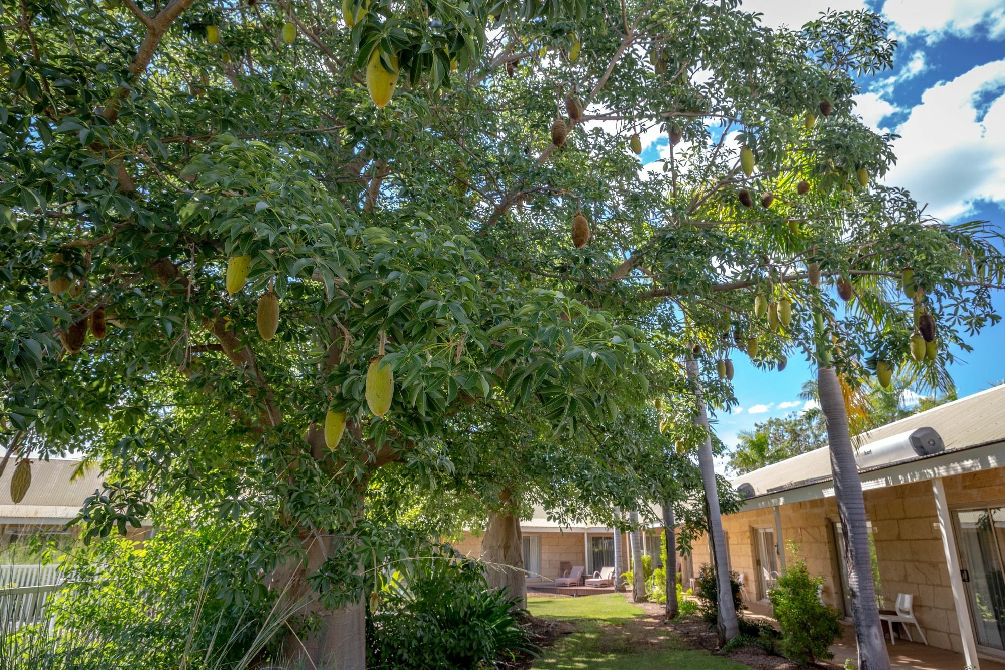 The Kimberley Grande Resort Kununurra Bagian luar foto